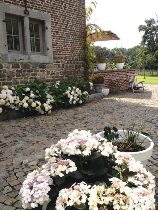 Country House Clos Des Hortensias Blegny Exterior foto